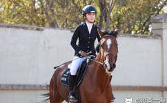 heyzo极太黑炮爱乃娜美先锋